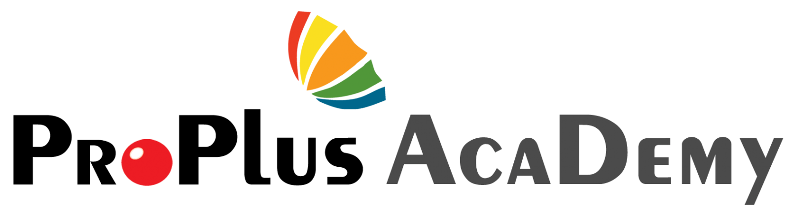 PPL-academy-logo